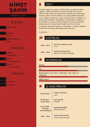 Ressam Cv Örnekleri cv indir